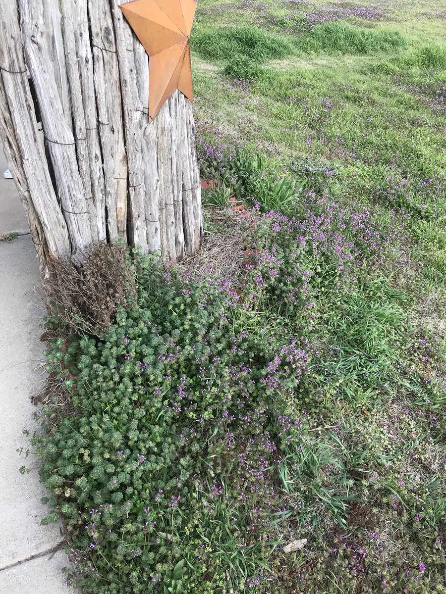 rileydacus's tweet photo. so glad I have a little sis who is willing to lay in the weeds every now and then for my vision

p.s. a location is whatever the heck you make it https://t.co/a5LeWR1g20