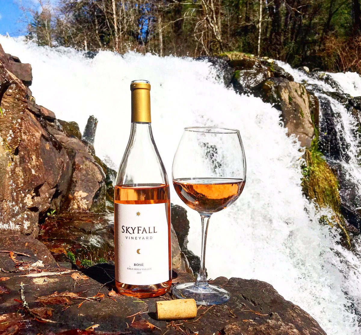 liquidlibation2's tweet photo. Skyfall Rose tastes of Asian pears, cranberries, strawberries and crisp citrus fruits. Great wine to pair with a sunny day. Cheers 🥂 #liquidlibations #skyfall #washingtonwine #wine #winegeek #rosé #waterfalls #pnw #washington #exploremore #outdooradventure https://t.co/bO34o8fVq8