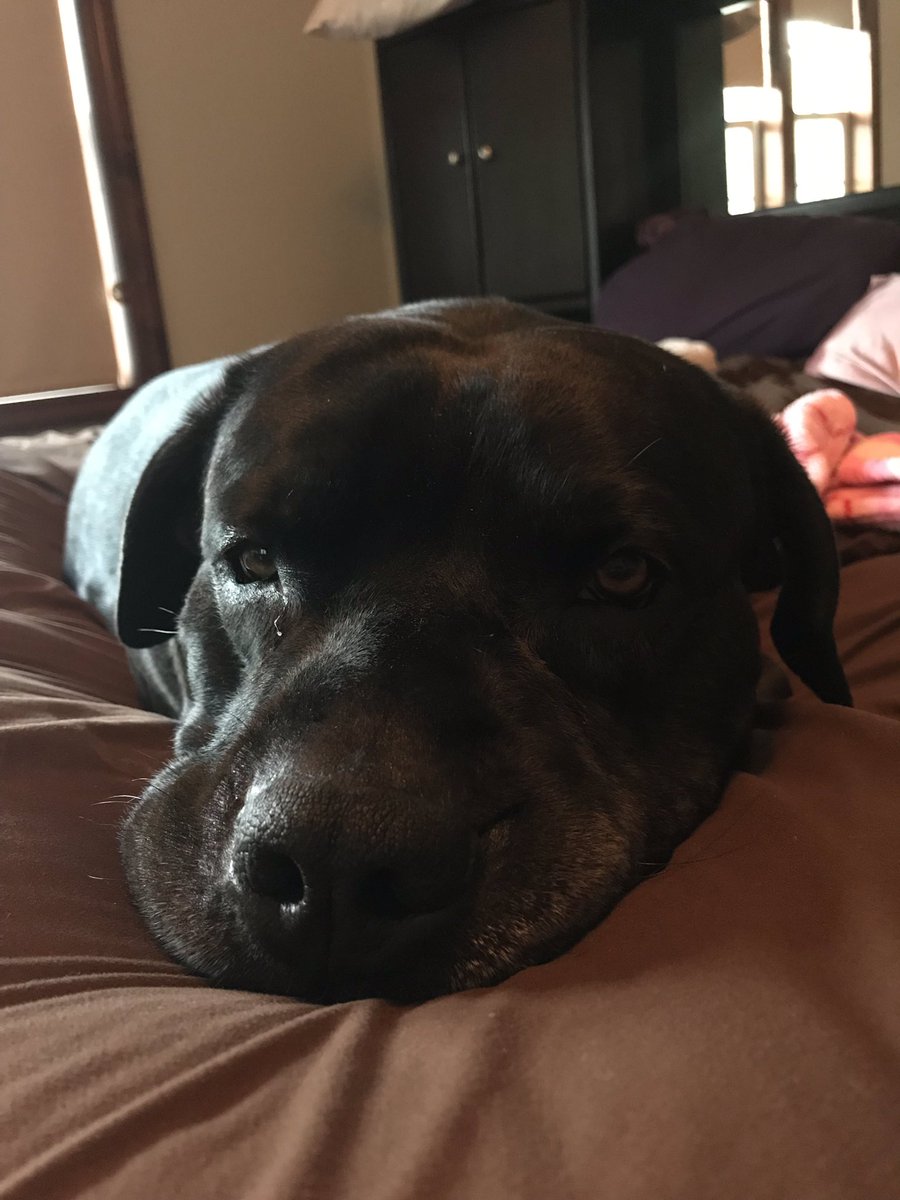 HYIMJEN's tweet image. #notbothered the house 🏡