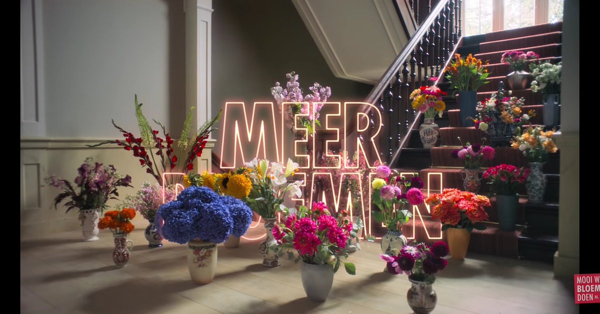 Gentily_Lilies's tweet photo. We hebben meer bloemen nodig!
#wehebbenmeerbloemennodig #meersamen #meerlol #meerliefde #mooiwatbloemendoen #lelies #worldloveflowers #weneedmoreflowers https://t.co/OV31WZ32vQ
