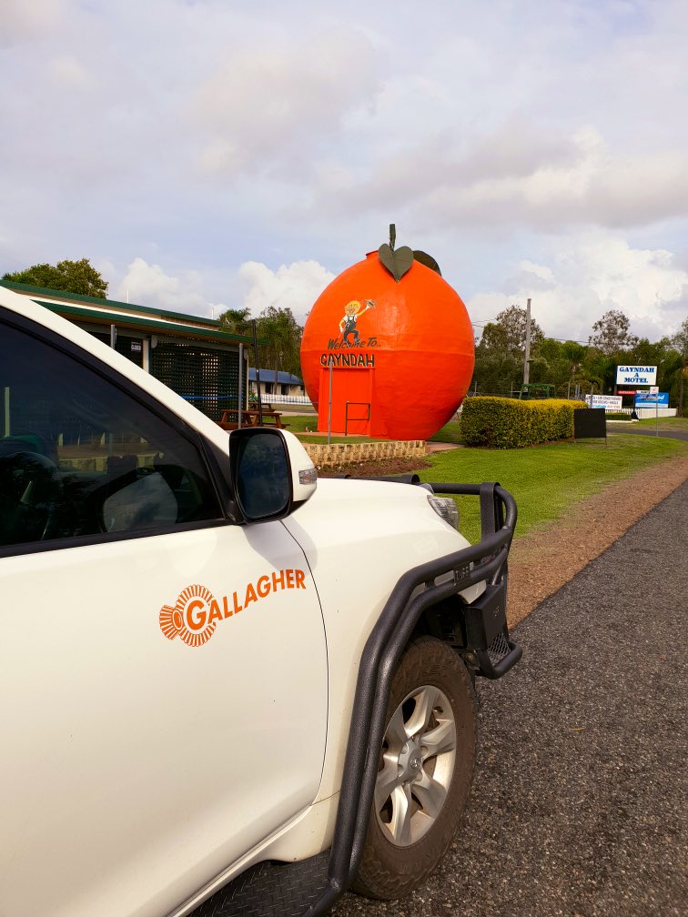 On the road, visiting customers in Queensland’s oldest town today. Seems like we’ve got a common passion for all things orange #orangeDNA #gayndah <a href="/Queensland/">Queensland Australia</a>