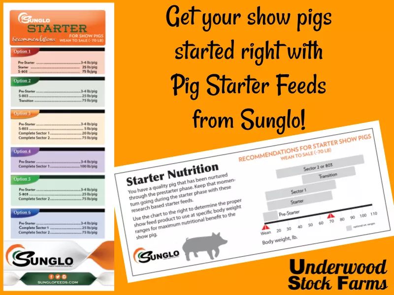 UnderwoodBeef's tweet photo. 🐷We've got new pig starter feed in tonight from @SungloFeeds!🐷

Learn more: https://t.co/MEW0emH2RG

🐽#feedtheirpotential 🐽#showpigs https://t.co/jnDGoODOdq