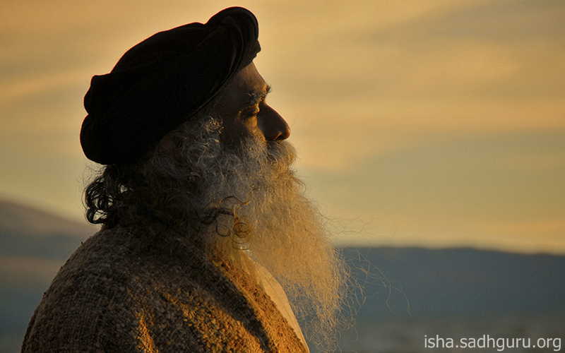 SadhguruJV's tweet photo. Meditation is not an act - it is a quality. #SadhguruQuotes https://t.co/UbFd6KhjD3