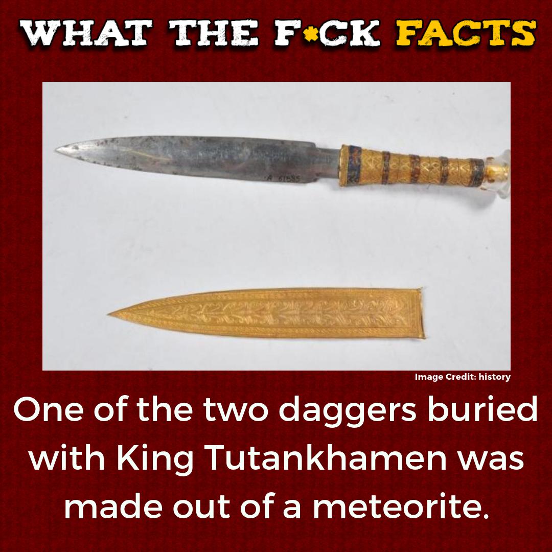 WhatTheFFacts's tweet photo. https://t.co/mC3BlBRrsF