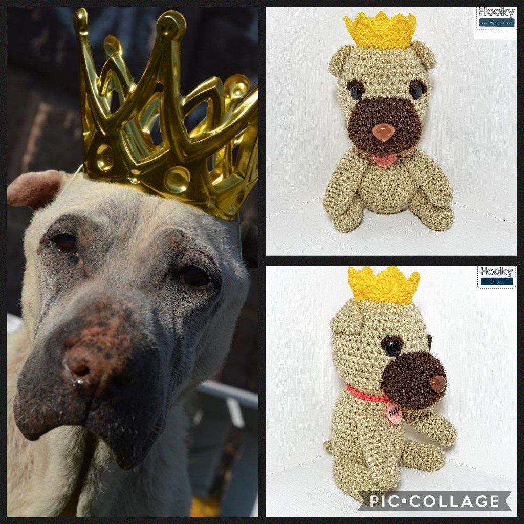 HookyBluu's tweet photo. ¡¡Envíanos una foto de tu mascota y la hacemos tejidita!! Tenemos lugares para pedidos, esperamos el tuyo 😊.

#crochet #handmade https://t.co/GJFSyOAHga