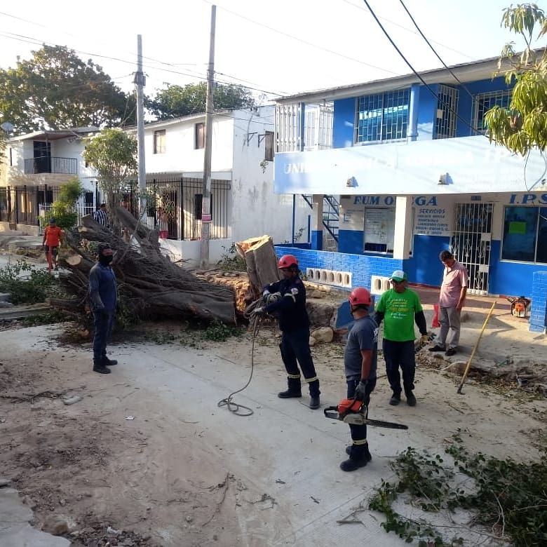 Bomberossoleda1's tweet photo. Árbol con riesgo de caída en la Urbanización Estadio fue talado por #bomberossoledad con el apoyo de Edumas y eléctricaribe ya que lo comprometían lineas Eléctricas.
@Edumas12 @soledadalcaldia @ConcejodeSoled1 @SoledadGobierno @DNBomberosCol @AtlanticoEmi @elheraldoco https://t.co/eUUlSgbX3H