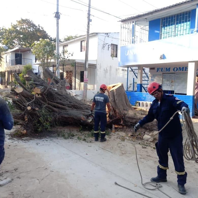 Bomberossoleda1's tweet photo. Árbol con riesgo de caída en la Urbanización Estadio fue talado por #bomberossoledad con el apoyo de Edumas y eléctricaribe ya que lo comprometían lineas Eléctricas.
@Edumas12 @soledadalcaldia @ConcejodeSoled1 @SoledadGobierno @DNBomberosCol @AtlanticoEmi @elheraldoco https://t.co/eUUlSgbX3H