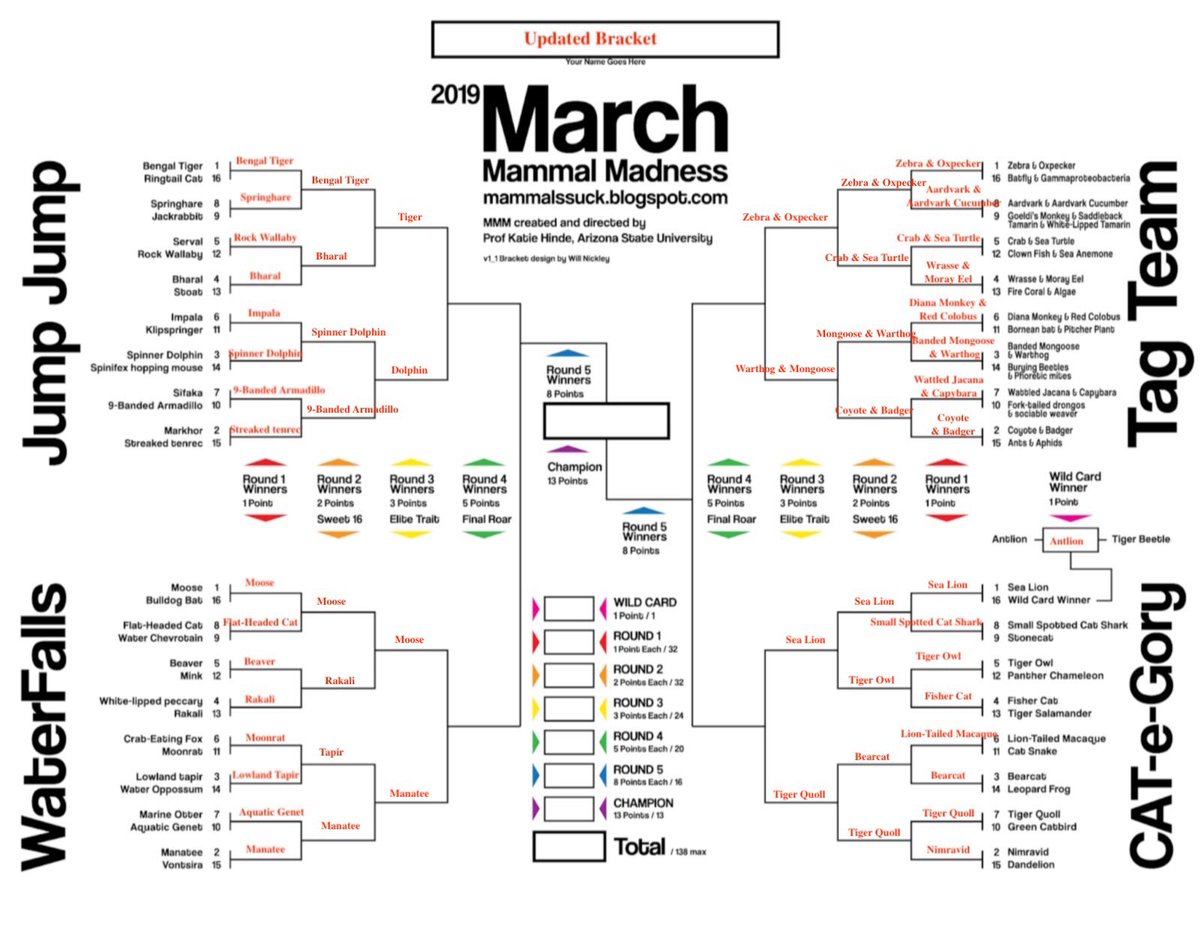 MMMletsgo's tweet photo. Tonight’s #2019MMM Winners: Zebra &amp; Oxpecker, Mongoose &amp; Warthog, Sea Lion, Tiger Quoll, Bengal Tiger, Spinner Dolphin, Moose, and Manatee https://t.co/7n0BLRv5X2