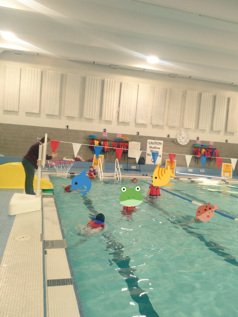 QofH_DPCDSB's tweet photo. Every Tuesday Mrs. Gomes and the ERW team walk to the public pool and take a dip for DPA and #lifeskillslearning ! #makinglearningfun #thediverselearner #QofH_dpcdsb πππββοΈβ¨ https://t.co/v3nMTYgXBm