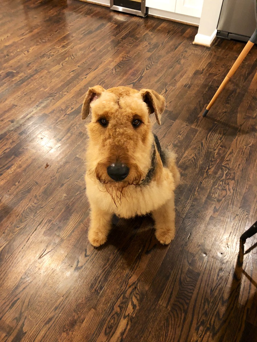 New blog post: How To Talk To Your Pup About An Inverted Yield Curve