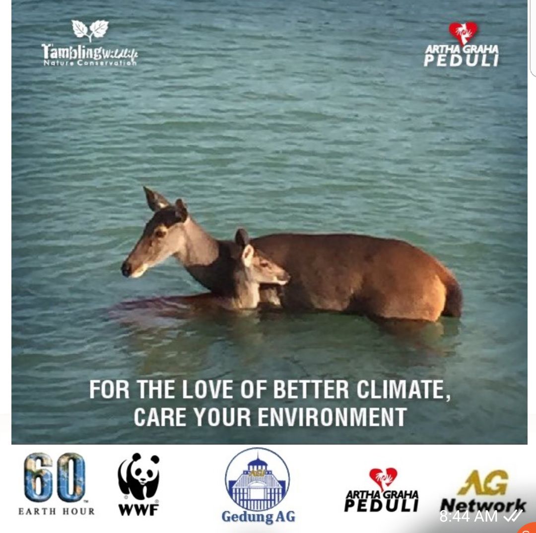 vanessa_v2h's tweet photo. #agpearthHour
#connect2earth
#earthhour2019
#earthhour
#agpeduli 
#changeclimatechange https://t.co/IEtTklzaWX