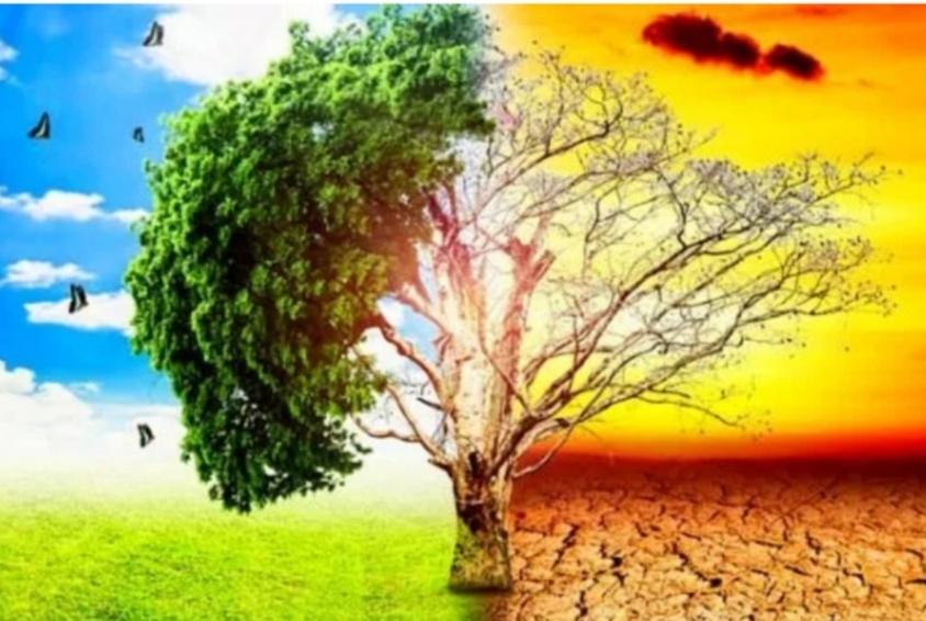 BedjoSochib's tweet photo. #agpearthHour                            #connect2eart                           #earthhour2019                                             #earthhour                                    #agpeduli                                        #changeclimatechange. Slamatkan bumi kita yes https://t.co/tH49hcQ5HW