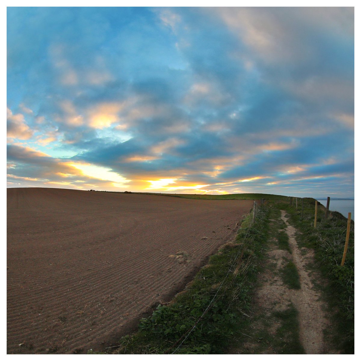 Cliff top path at sunset ⁦<a href="/LincsSkies/">Lincolnshire Skies</a>⁩ ⁦<a href="/Bempton_Cliffs/">RSPB Bempton Cliffs</a>⁩