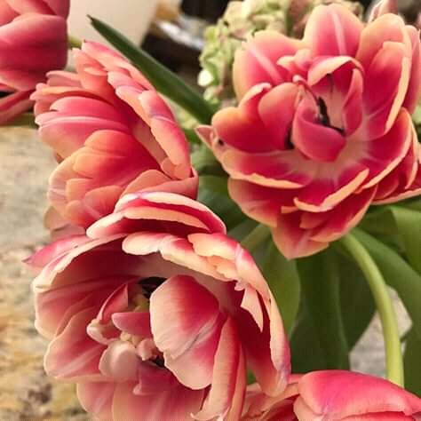 deshani55's tweet photo. Good morning
Have a great day
🌷🌷🌷🌷🌷🌷🌷 https://t.co/gq7XN2CQ1Y