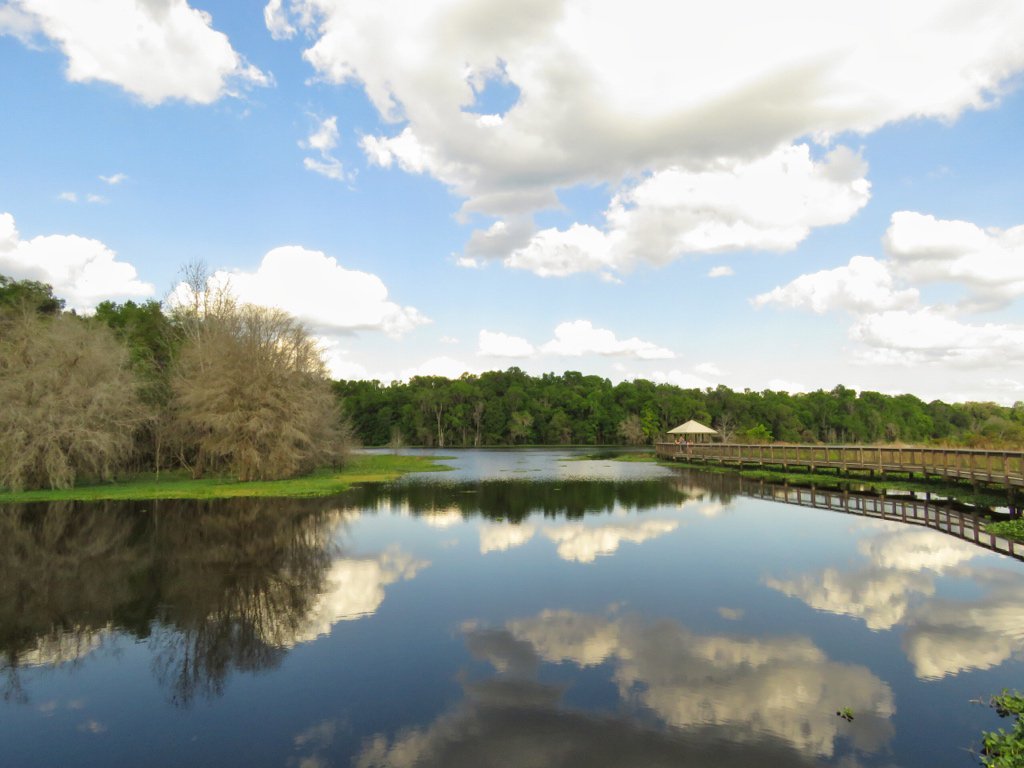 EPCOTExplorer's tweet photo. #FindYourPark @FLStateParks @PrairiePaynes #paynespraire https://t.co/ISI9oiW2jy
