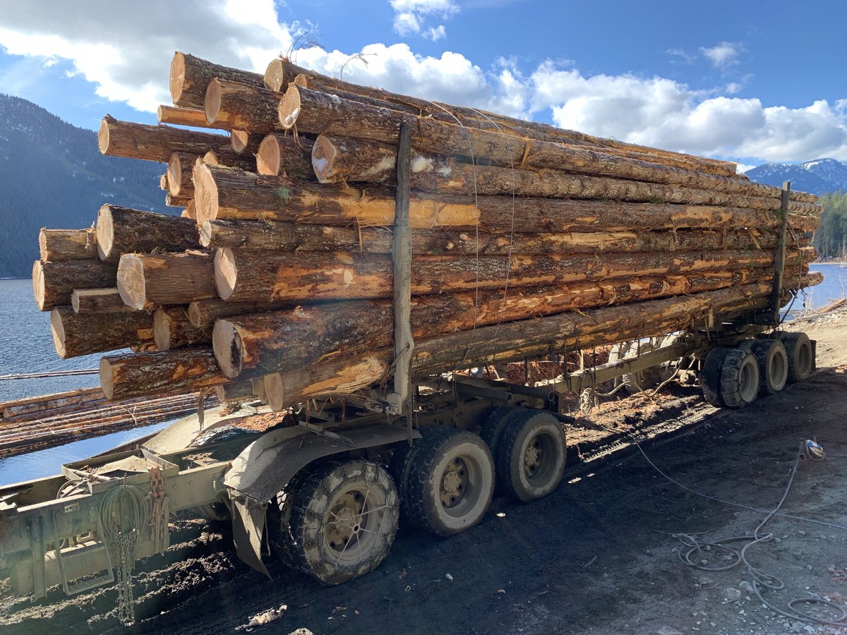 ForestechTim's tweet photo. A nice load of second growth logs all wrapped up and ready to be dropped into the water. #kenworth #tridrive #forestry #secondgrowth https://t.co/hY1sZrxxSR