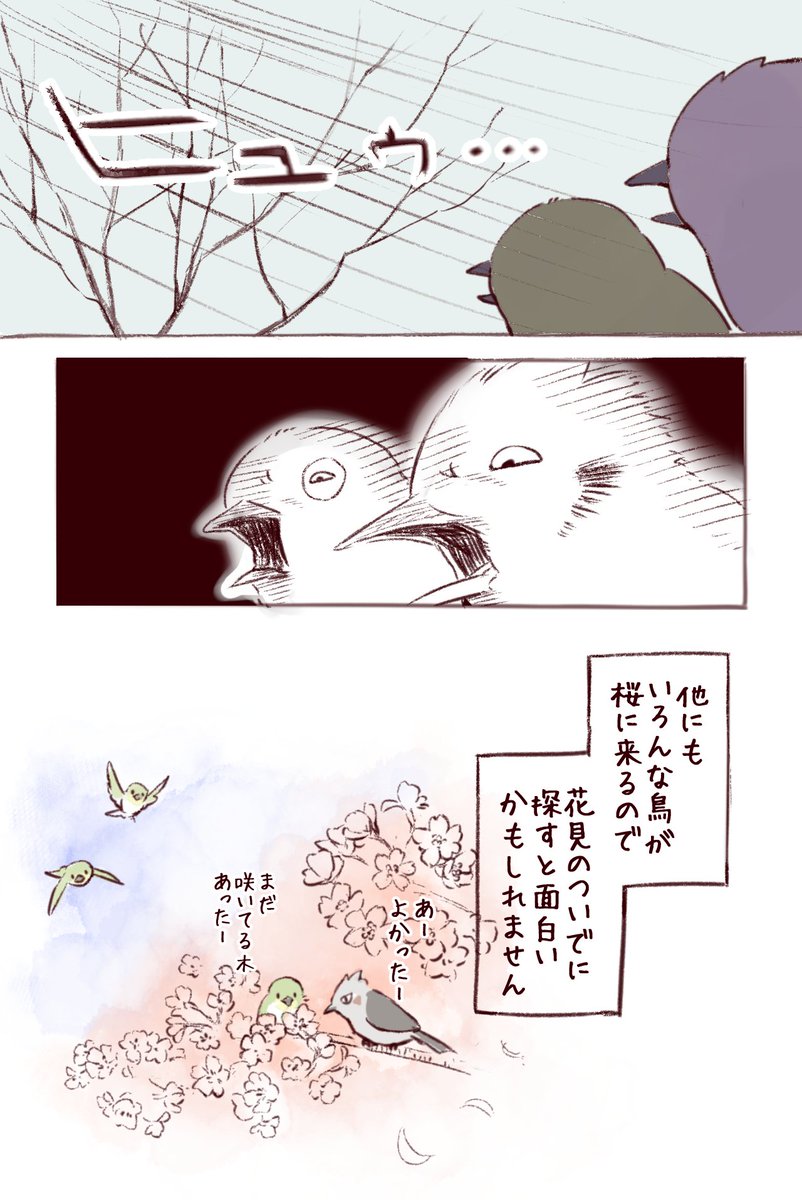 桜にくる鳥とりどり
花見ついでに鳥見もいかがでしょうか？ #桜 