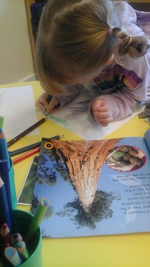 Bright Horizons Fair oak tweet media