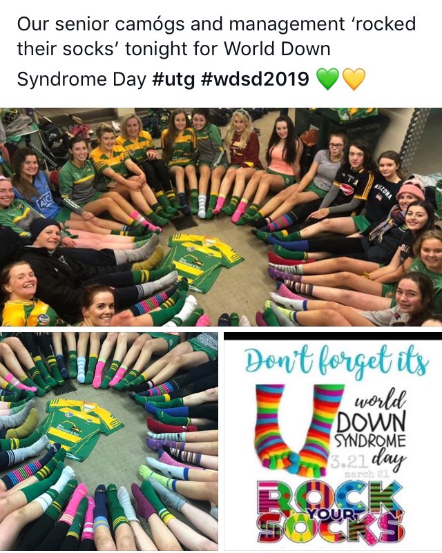 glenullincamogs's tweet photo. https://t.co/WNyyqhehMN
