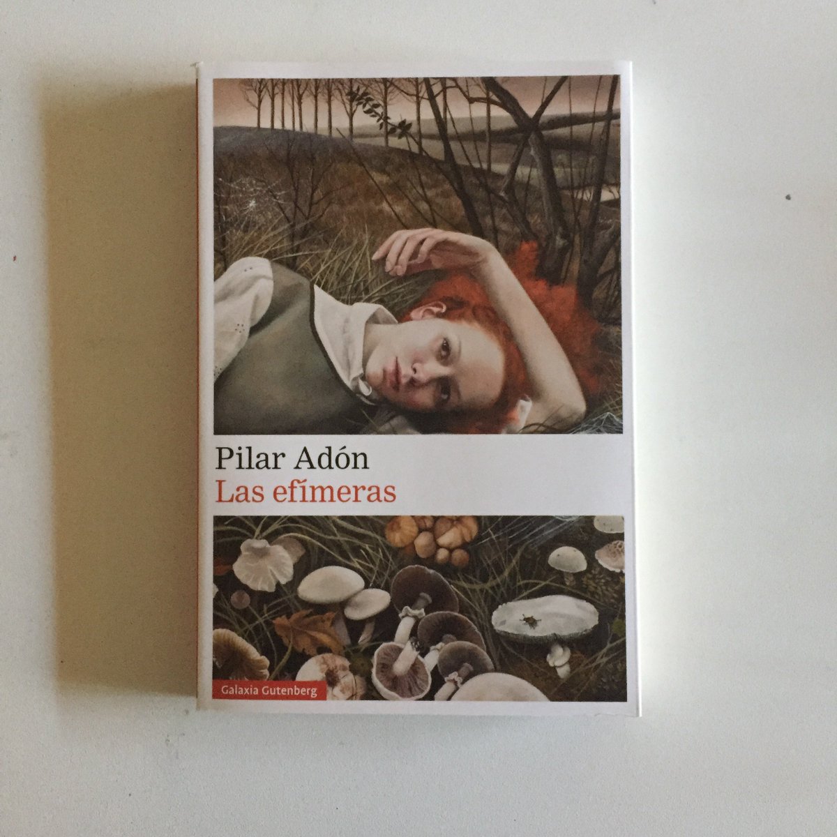 Así comienza 'Las efímeras', de #PilarAdón
Así te sumerge.
(gracias @LibreriaAlberti por la recomendación✨)
#lasefímeras #galaxiagutenberg #literatura #novela