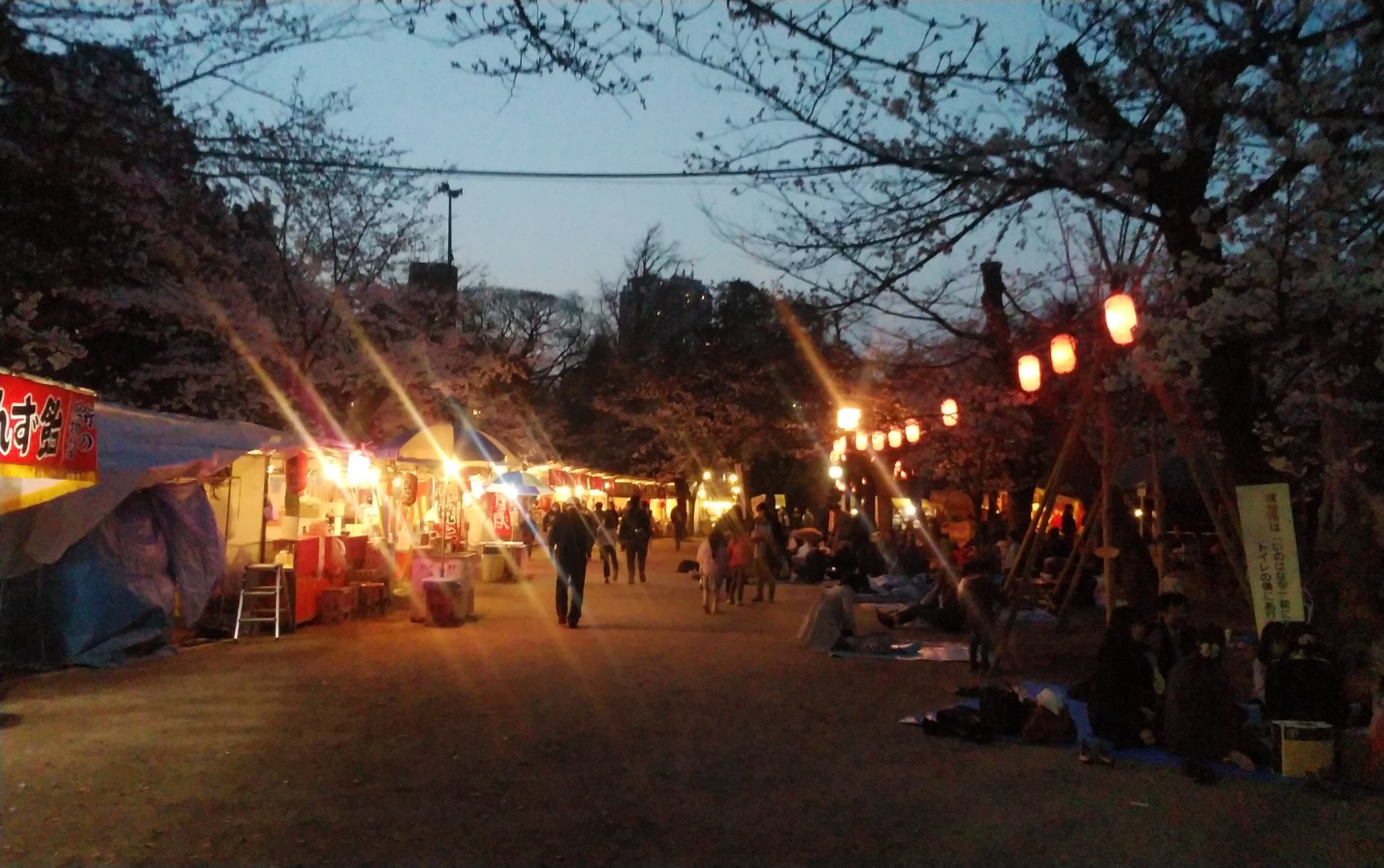 千葉城さくら祭り Twitter Search Twitter