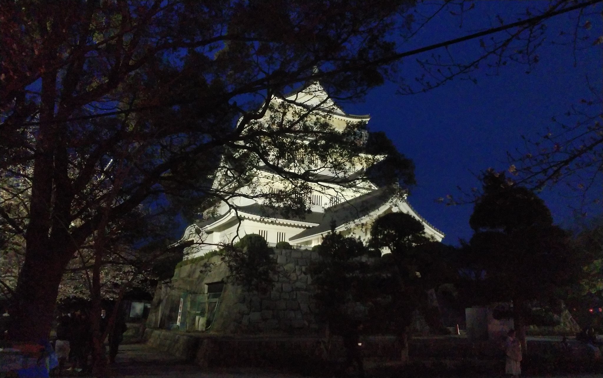 千葉城さくら祭り Twitter Search Twitter