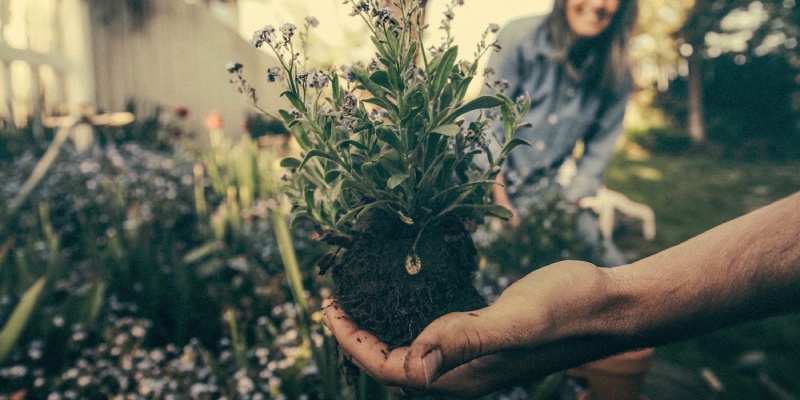 GardenFurnLand's tweet image. A new smartphone app is letting communities compost together gardenfurnitureland.com/blog/a-new-sma…