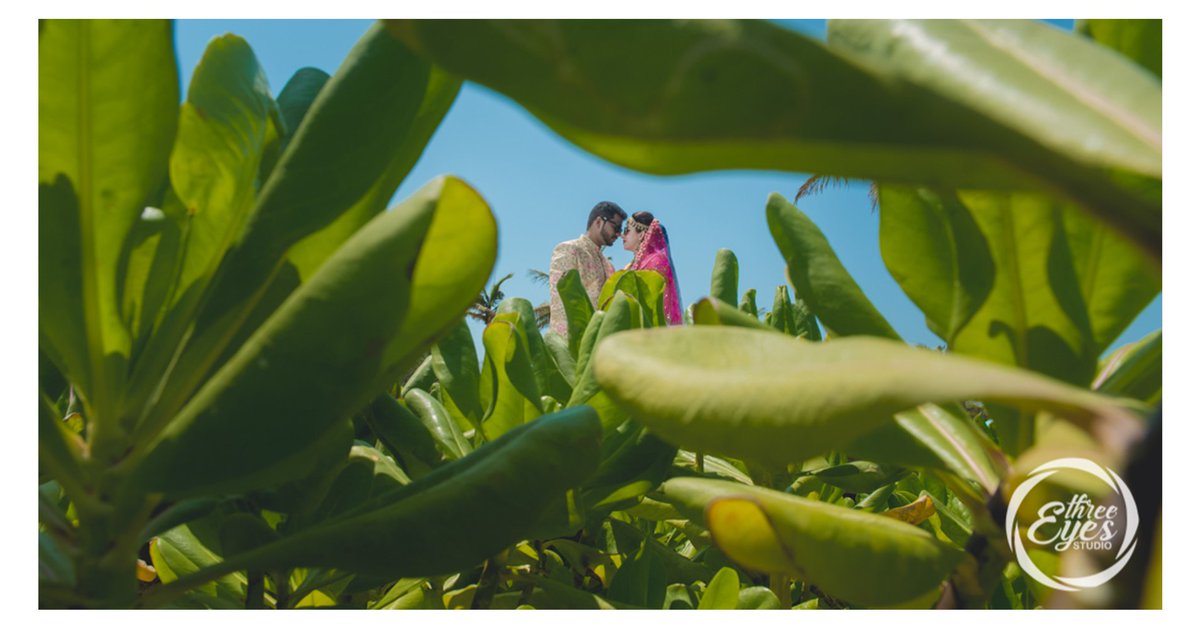 threeeyesstudio's tweet photo. The trusting little leaves of green, 
A rendezvous, a kiss or two, 
our youth forever etched. 

shot by @bharath sathyamurthy of  Shutter Monkeyz Photography https://t.co/5PqHjMHxIK