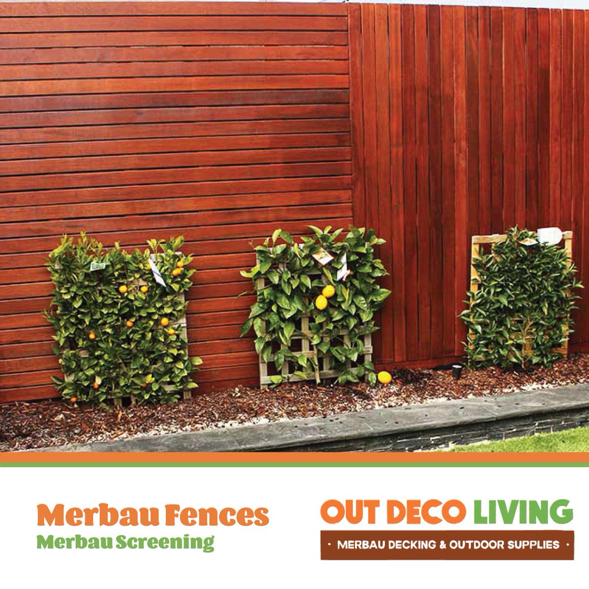 Outdecoliving1's tweet photo. Outdeco Living are Wholesaler & Direct Supplier of Merbau Fencing, Merbau Decking, Merbau Screenings, Decorative Screens, Bamboo Panels, Artificial Grass, Timber Supplies, Paling Fences. https://t.co/UB13C1QpVk #MerbauFences #DecorativeScreens #BambooPanels #MerbauDecking https://t.co/vKooDuzYMW