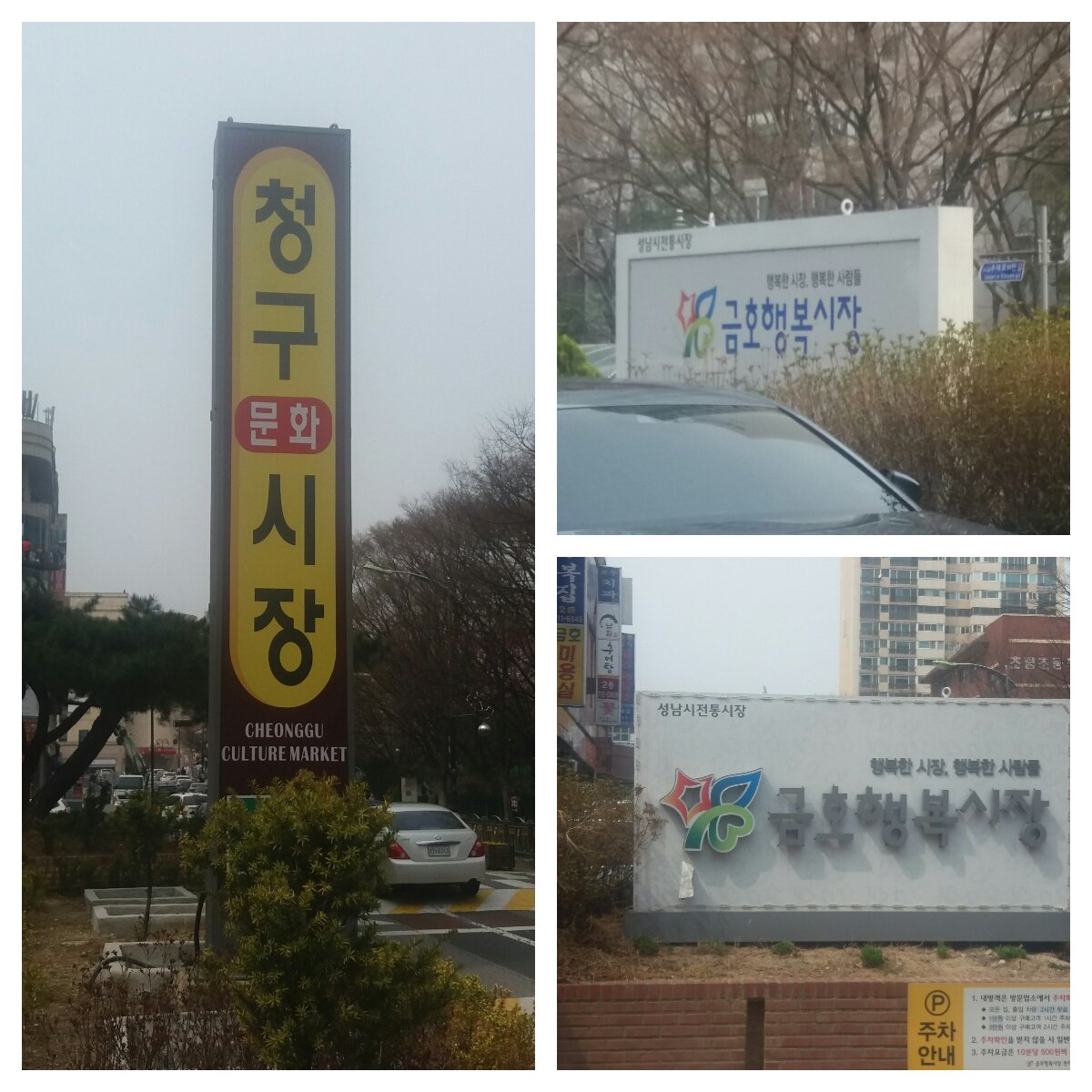 황연희 tweet media