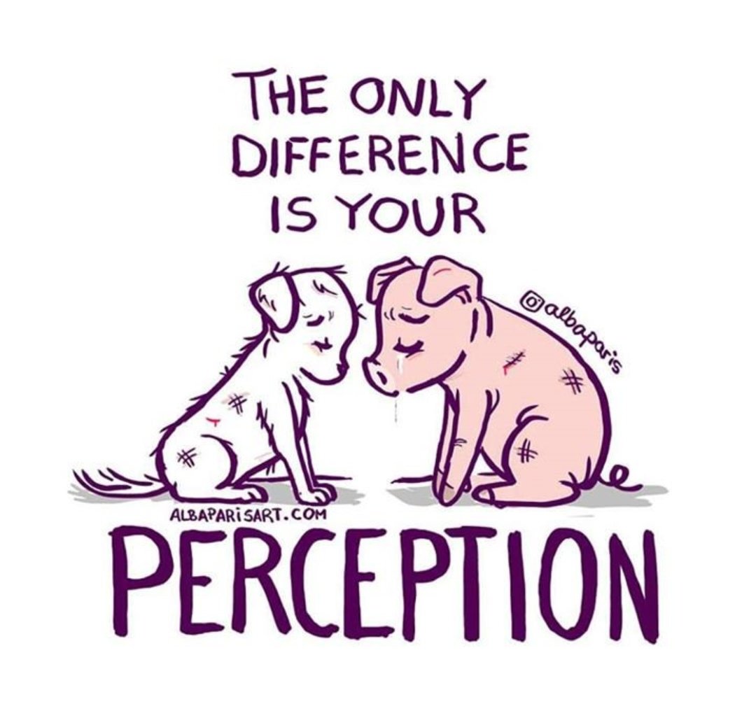 <a href="/GoVeganWorld/">Earthlings</a> @FrasierHarry