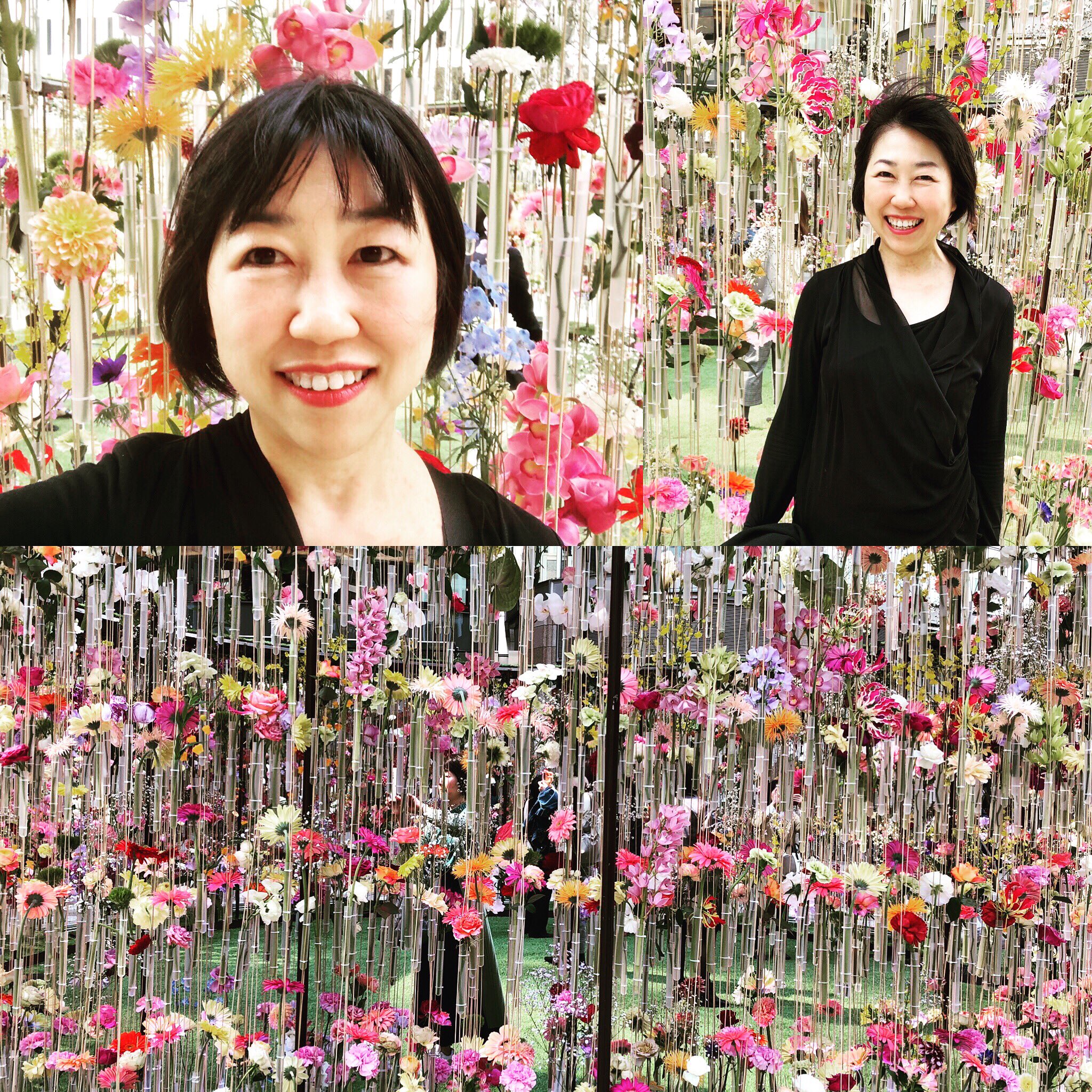 田中ひろみ 仏像イラストレーター 東京ミッドタウン日比谷の前では 生花のフラワードーム が綺麗 ゴジラの近くには桜が 春ですね 東京ミッドタウン日比谷 田中ひろみ 花 インスタ映え 映え フラワードーム T Co R9expfcqea Twitter