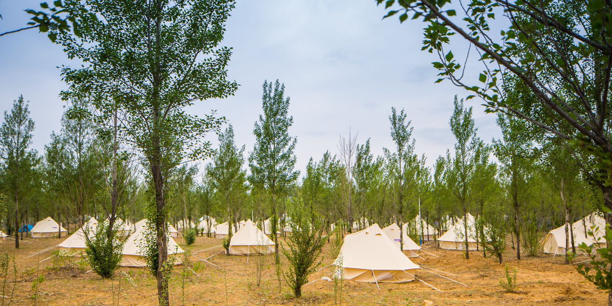 MTAFEST's tweet photo. Accommodation for hospitality-Camping tents provided.Don’t forget to buy camping tickets if you’re planning to go all-nighter with us🔥 G https://t.co/g4qm0MH9Dr