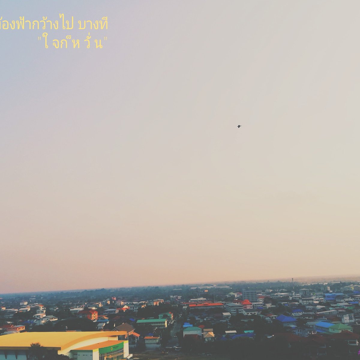 yongtog's tweet photo. ร อ.....
#😳😳😳 https://t.co/ozVjCL8GEL