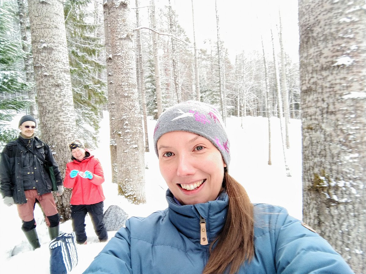 RLinnakoski's tweet image. YeastsGoWild! -projektin villihiivoja metsästämässä #LukeLEADS #LukeResearch