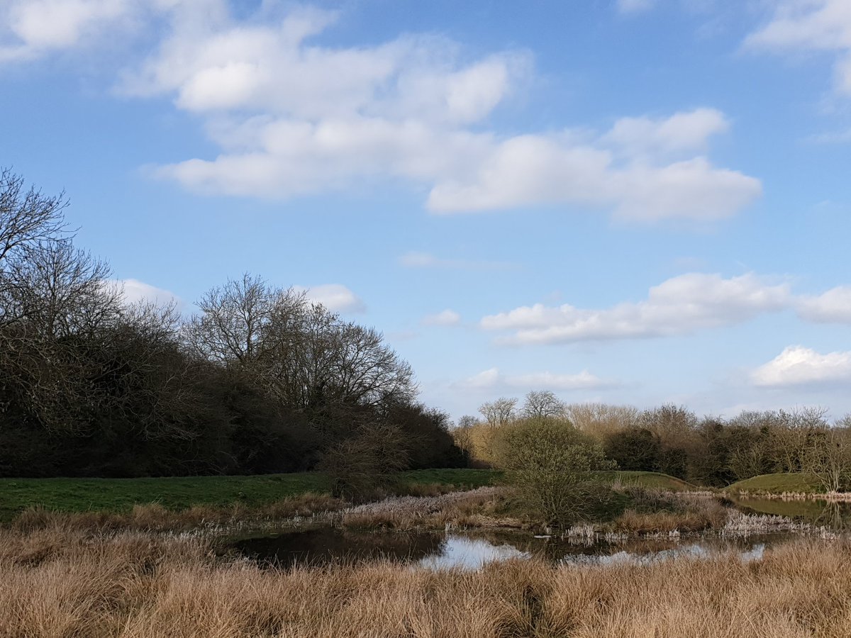 @NNskies <a href="/LincsSkies/">Lincolnshire Skies</a> <a href="/StormHour/">#StormHour</a> 
Little fluffy #clouds 
#welford
More today please