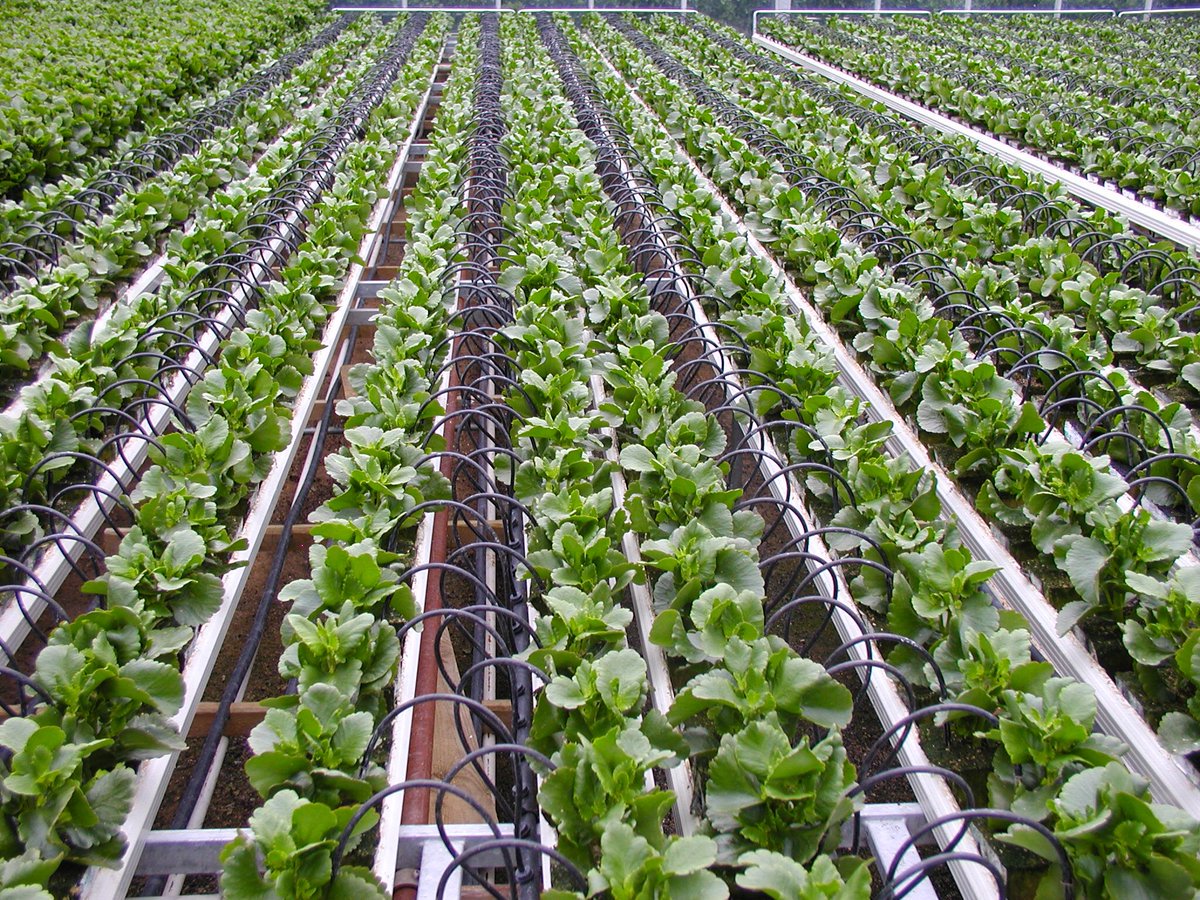 IrriHub tweet picture