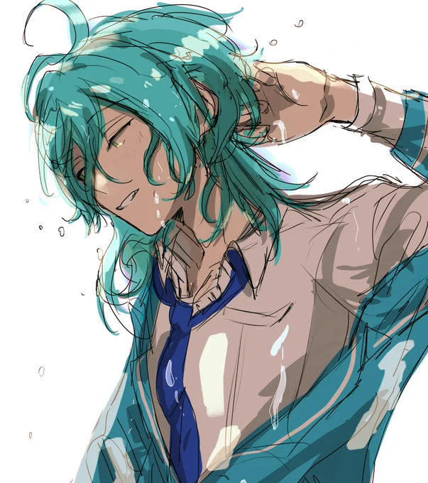 🐬 