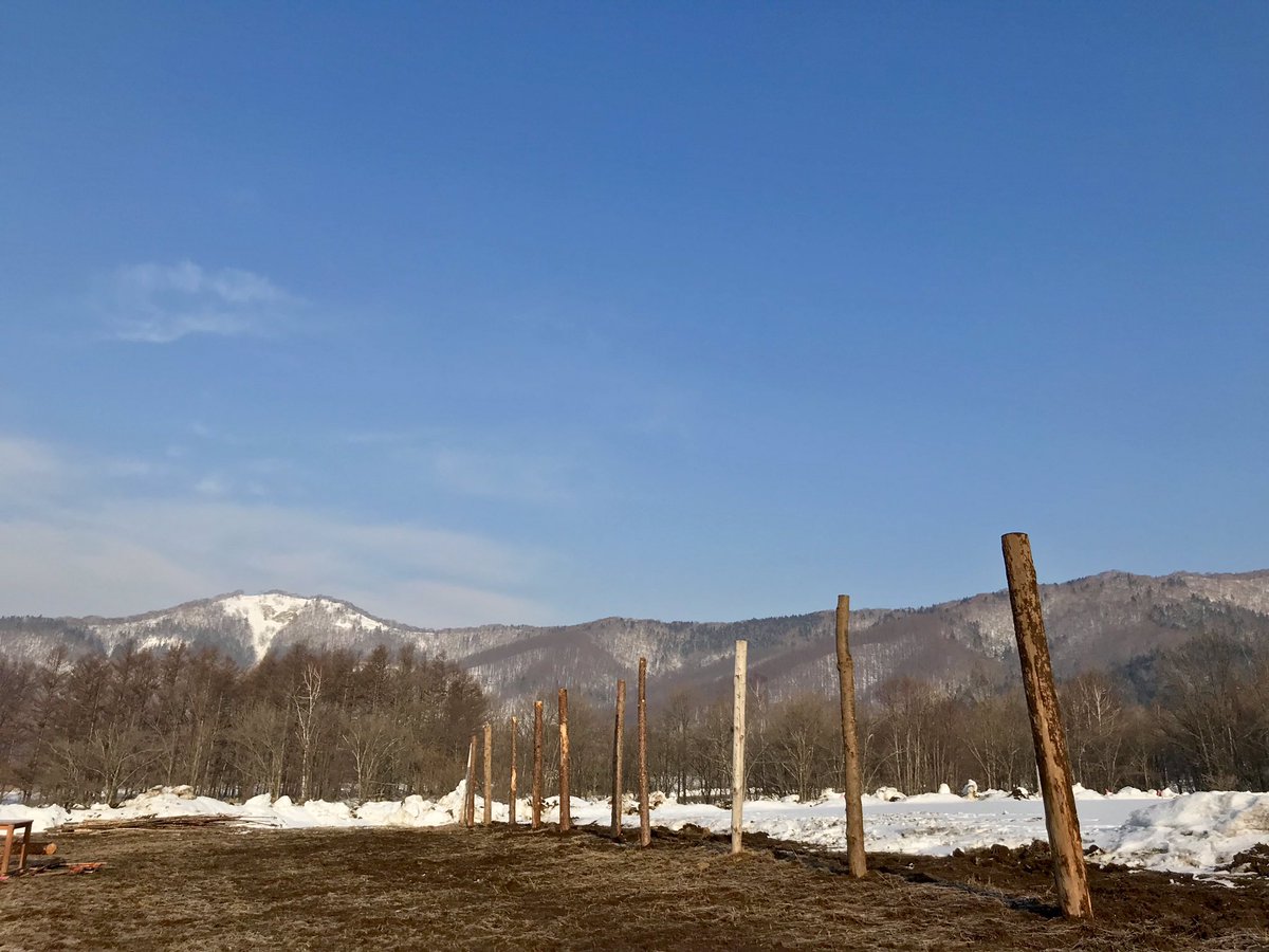 0103murakamiT's tweet photo. 何でこんなに雪降るのー

昨日と今日の違い… https://t.co/OyYmwSXyyq