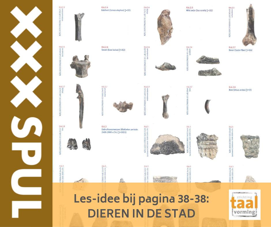 Vanaf nu op onze website iedere maand een nieuw #lesidee bij het boek #SPUL in vervolg op de gratis lesbrief die we deze week aan alle scholen stuurden.
Lesidee 1: #dieren in de stad. <a href="/uitg_deharmonie/">Uitgeverij De Harmonie</a> | van zoetendaal publishers  taalvorming.nl/les-idee-bij-s…