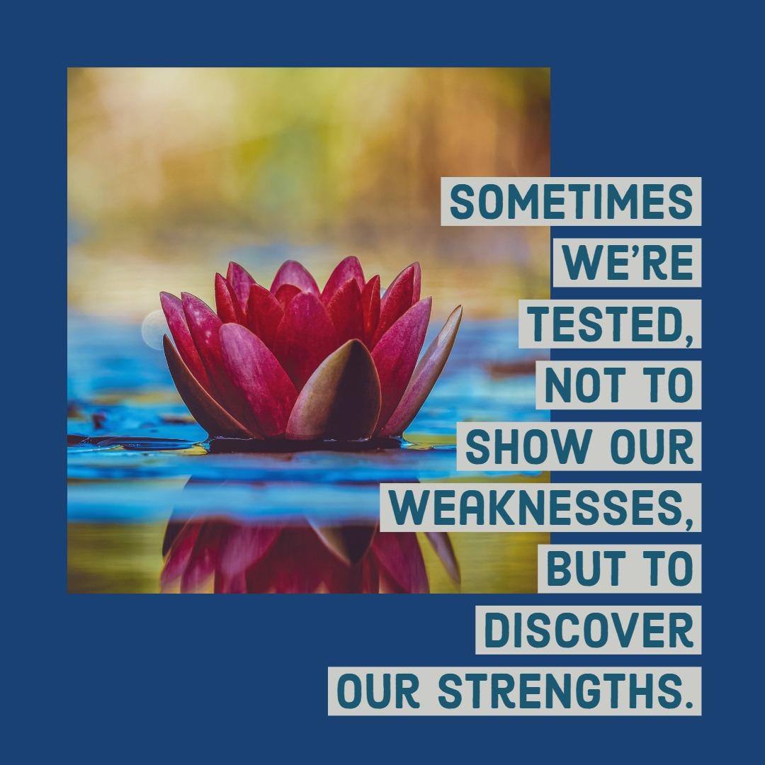 #WednesdayWisdom