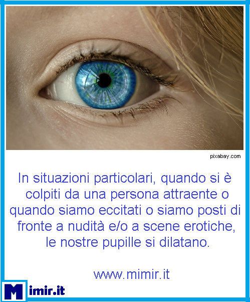ItMimir's tweet photo. Dallo stato della pupilla si possono leggere le nostre emozioni #sapevatelo #saiperchè #curiosità #curiosone #pupille #eccitazione #howto #natura #buongiorno #mimir https://t.co/YZUF5cg1EV https://t.co/UtS6FtDgUz