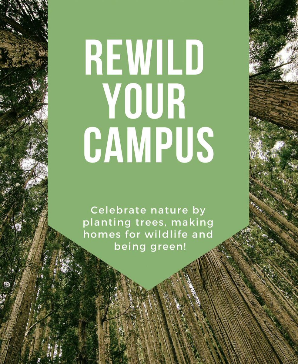 Join our new movement and rewild your campus! We've got over 100 votes and need less than 50 more to make rewilding <a href="/UoS_Students/">UoS_Students</a> policy. If you like the idea <a href="/SalfordUni/">University of Salford</a> please sign up and RT #homesforwildlife #stopclimatechange
salfordstudents.com/thestudentvoic…