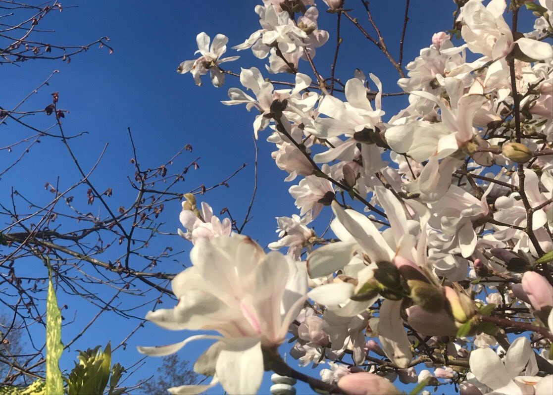 Jan Penninkhof tweet media