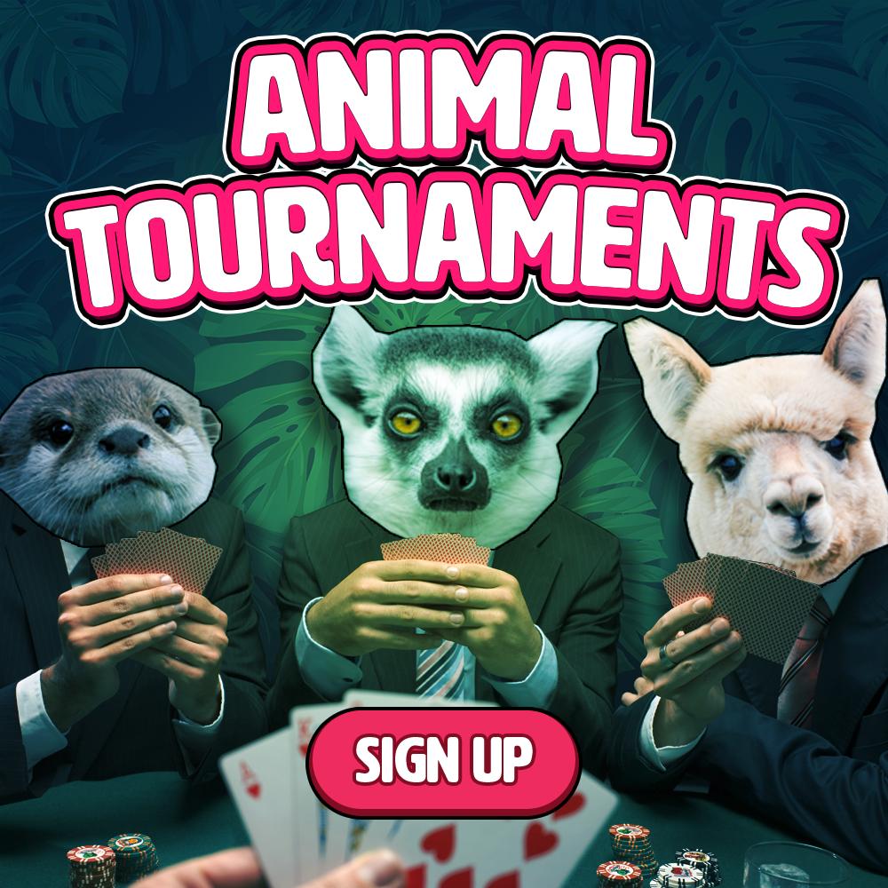 PokerLivePro's tweet photo. 🐊🐒🦁 Animal Tournaments 🐼🐯🐏
Play in the Animal Tournaments and grab a share of the prize pool, which amount is over $1,000,000,000 chips!

Facebook, phones and tablets 👉 https://t.co/7i9qu8vFB2
GameDesire 👉 https://t.co/WwUj7xyTfD

#poker https://t.co/PPIk0JtE9y