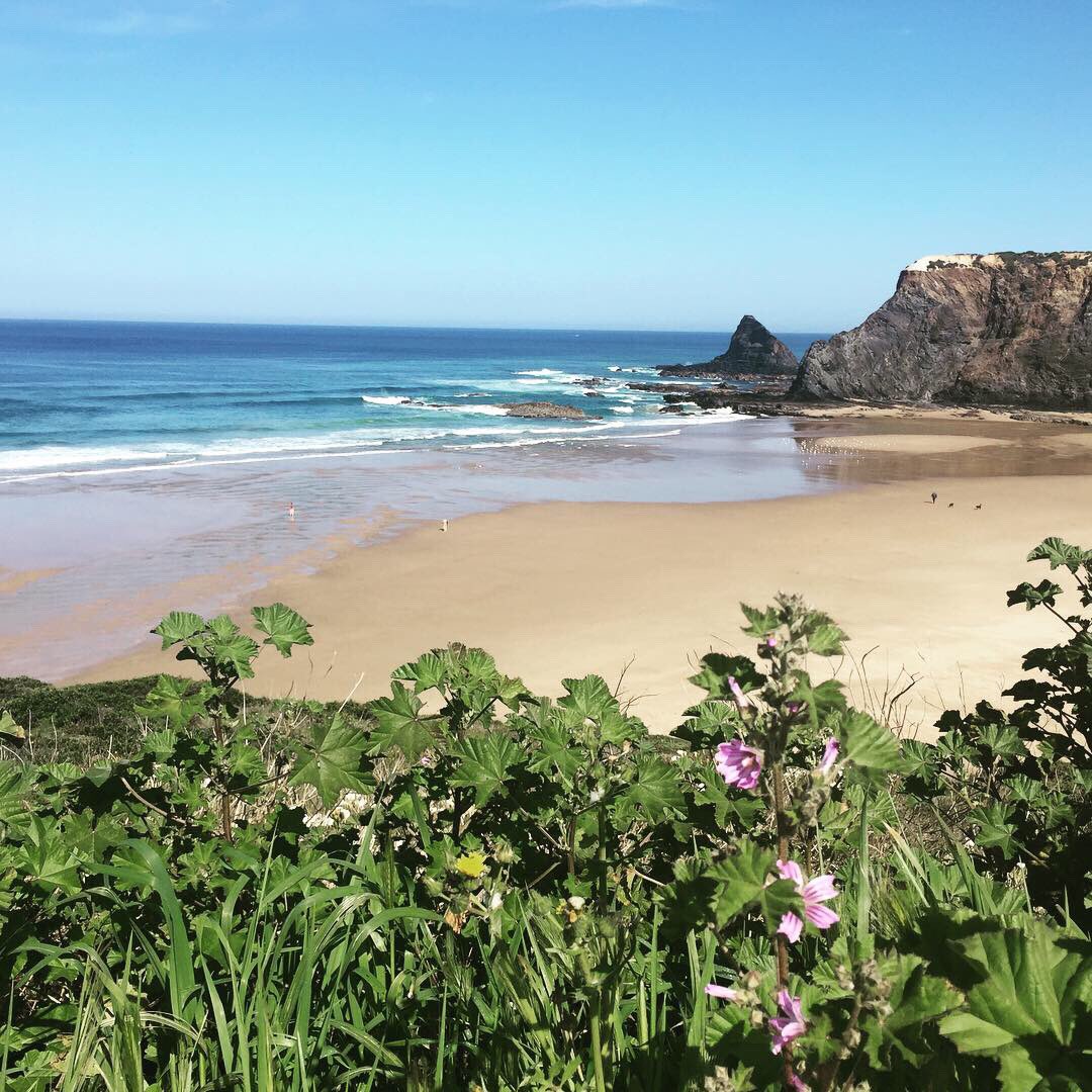 rambleworldwide's tweet photo. Portugal’s #alentejo region comes alive in spring. Great walking with #flowers #atlanticwaves #beaches #blueskies as companions https://t.co/EtAKizCmoC