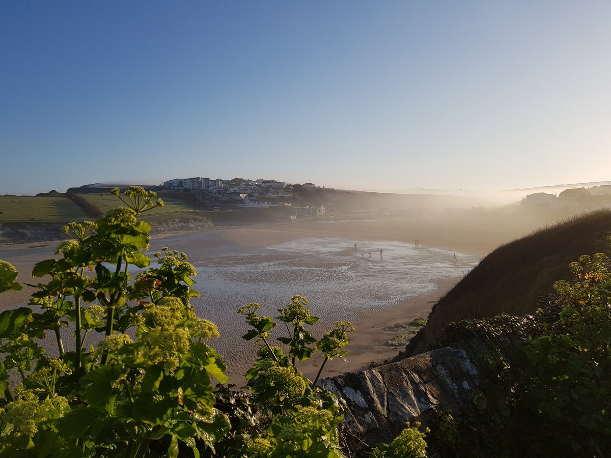 Newquay 〓〓 tweet media