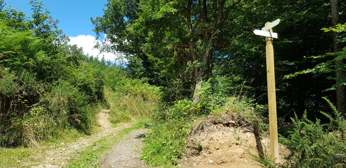 orain21's tweet photo. [EU] Zortzi ibilbide zirkular eta 3 igoera berri seinaleztatu dira Arrasaten. Panel infromatiboak diseinatu dira eta 2 gida-mapa.

[ES] En Arrasate-Mondragón se han creado y señalado 8 rutas circulares y 3 ascensos nuevos. Se han diseñado paneles informativos y dos mapas-guía. https://t.co/cQW0auBOHu