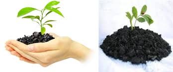AgribioC's tweet photo. #Biochar is considered as a best friend of soil because of physical and chemical nature. Prime Specialties offers the finest quality #Biochar_products at reasonable rates. You can contact us at 9618333911
#Biocharfertilizer https://t.co/0bX2ApW1sd