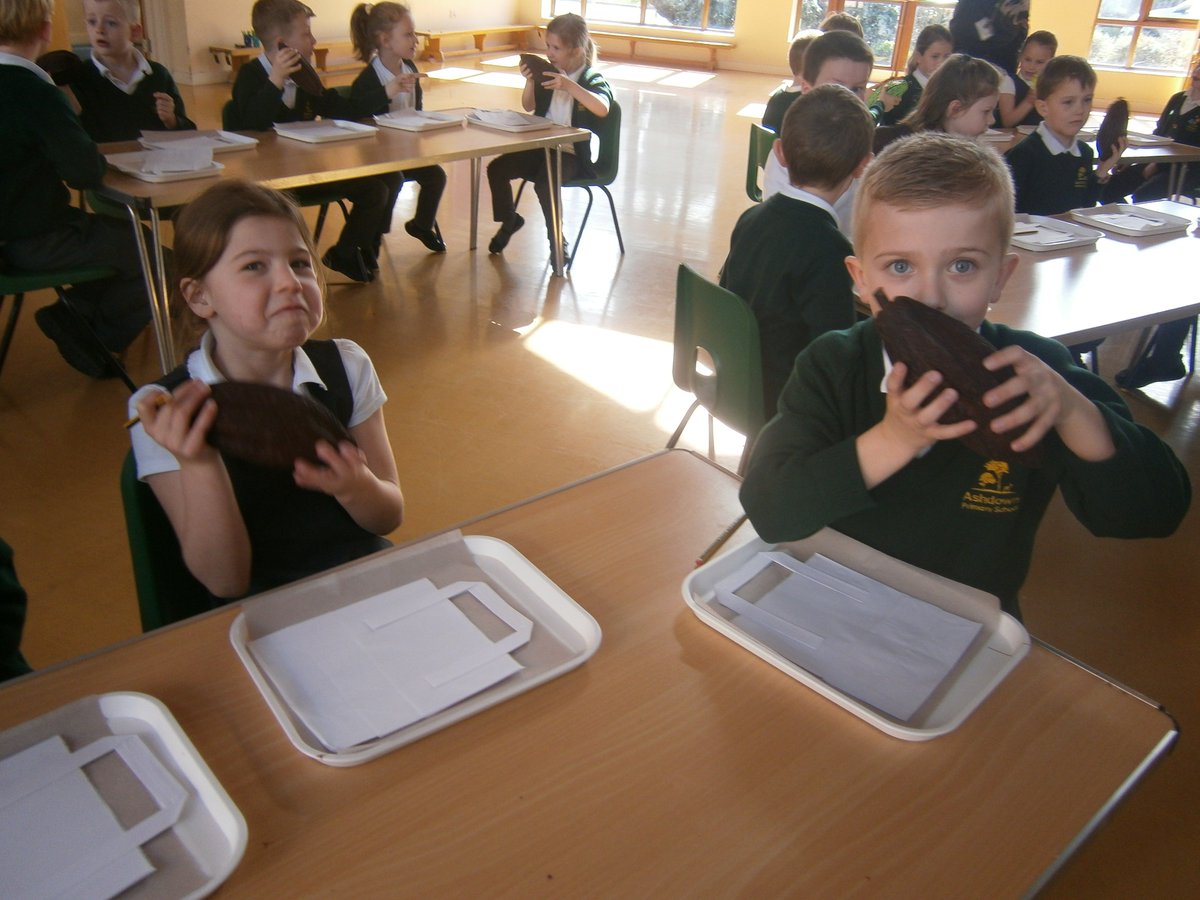 Ashdown Primary School tweet media